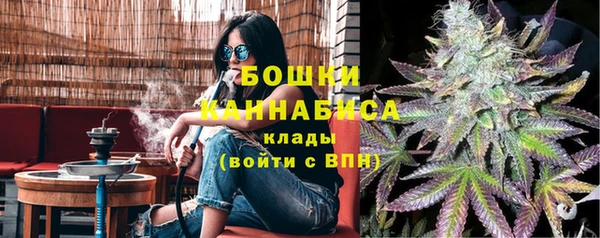 PSILOCYBIN Беломорск